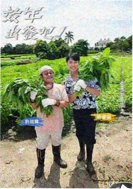 厨房风云会封面